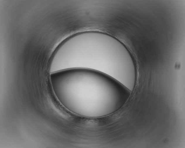 X0000111610156200907171048