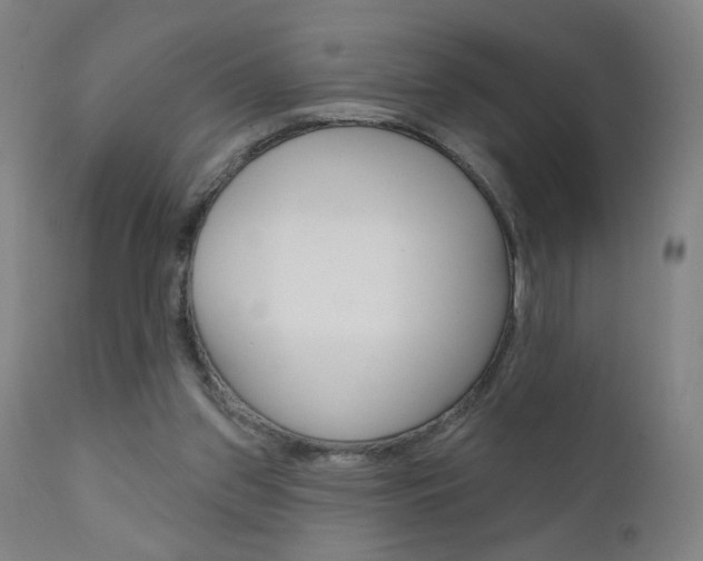 X0000111610157200907171048