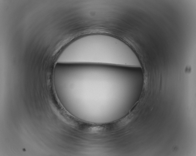 X0000111610158200907171048