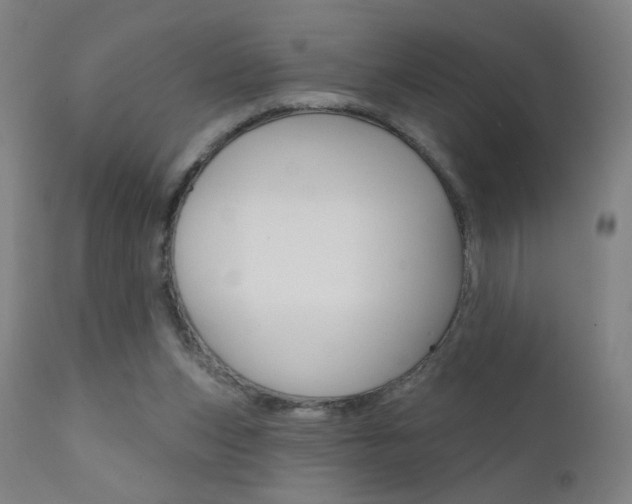 X0000111610159200907171048