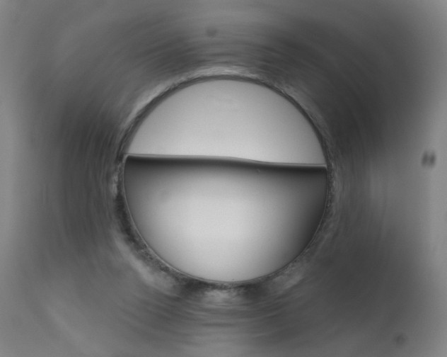 X0000111610160200907171048