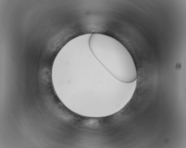 X0000111610162200907171048