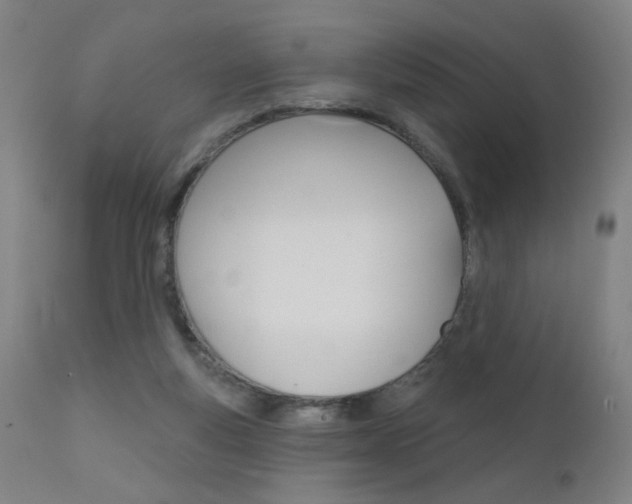X0000111610163200907171048