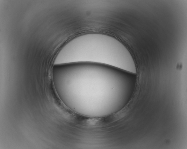 X0000111610172200907171048