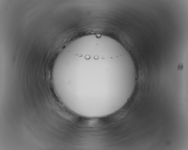X0000111610173200907171048
