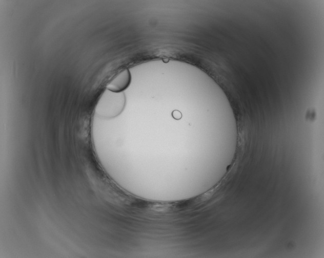 X0000111610175200907171048