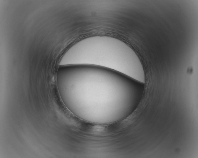 X0000111610176200907171048