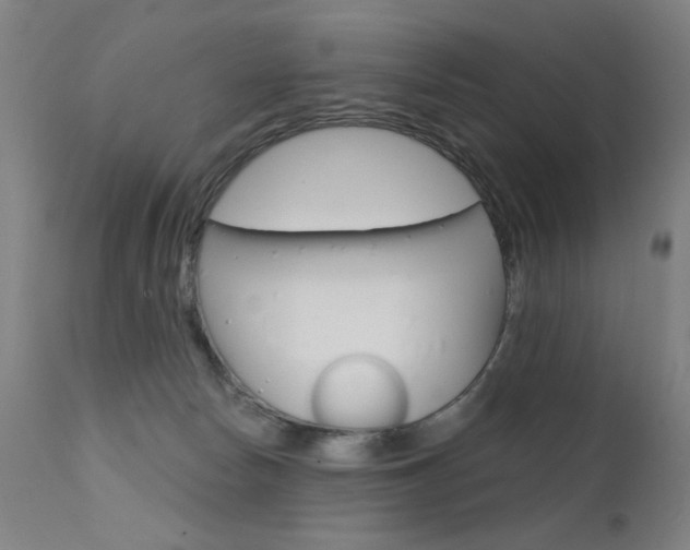 X0000111610178200907171048