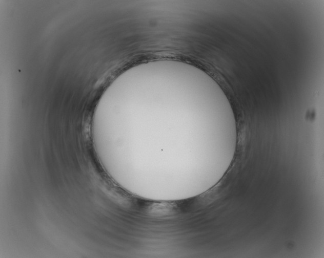 X0000111610179200907171048