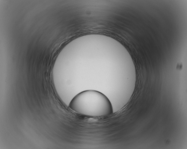 X0000111610180200907171048