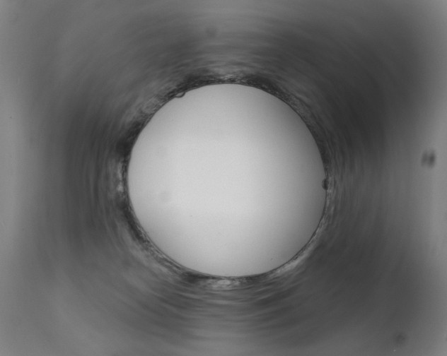 X0000111610182200907171048