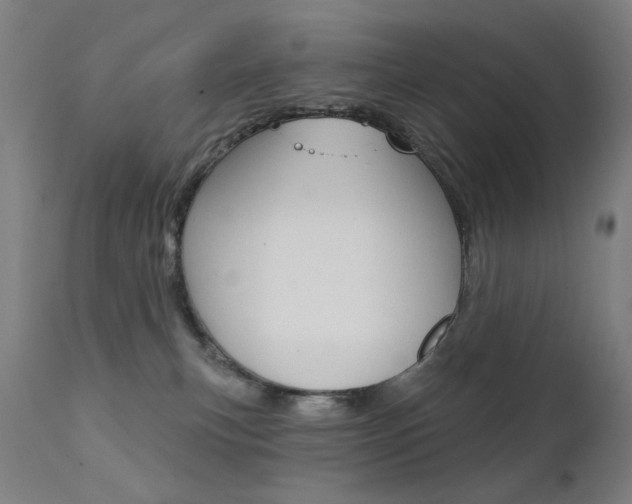 X0000111610183200907171048