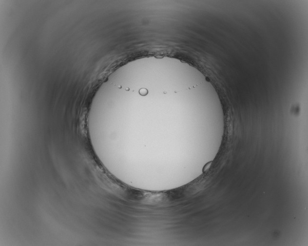 X0000111610185200907171048