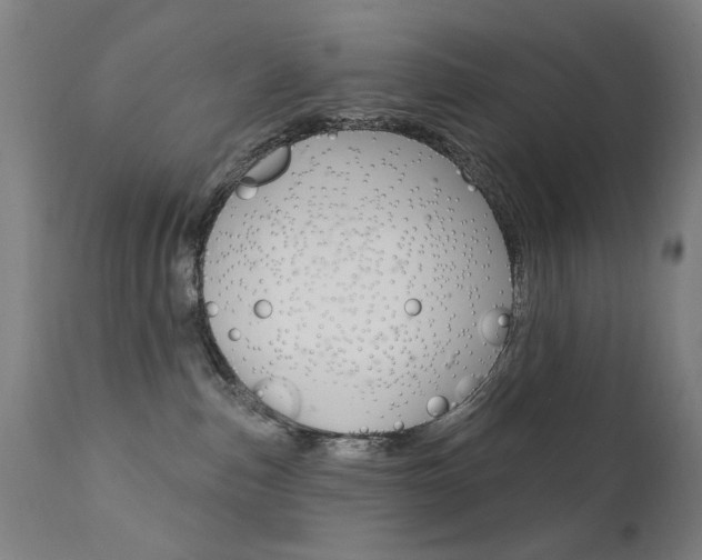 X0000111610187200907171048