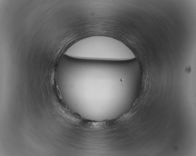 X0000111610188200907171048