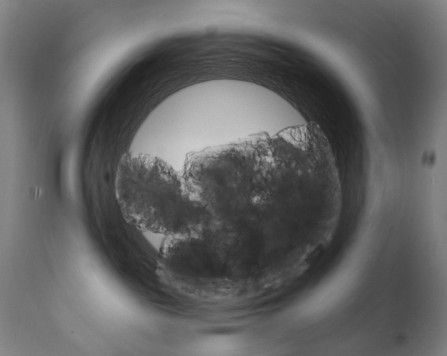 X0000111610189200907171048