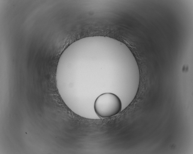X0000111610192200907171048