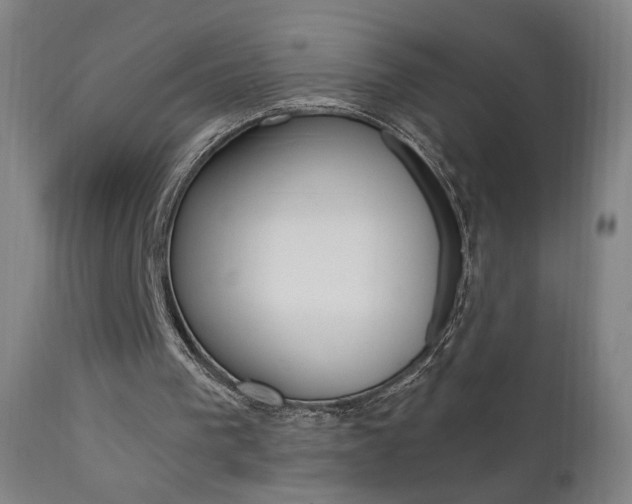X0000111610193200907171048
