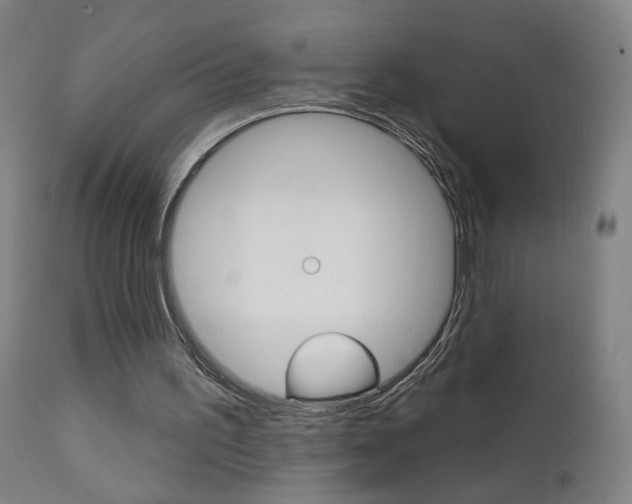 X0000111610195200907171048