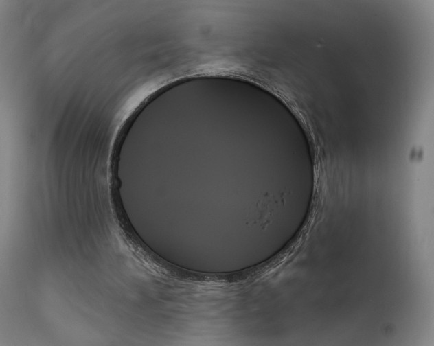 X0000111610196200907171048