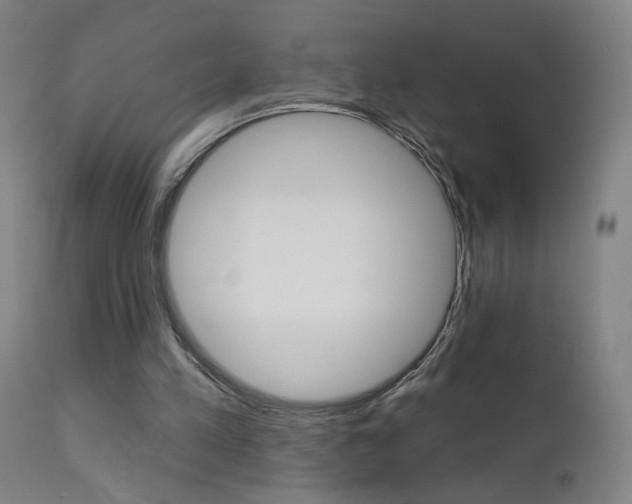 X0000111610197200907171048
