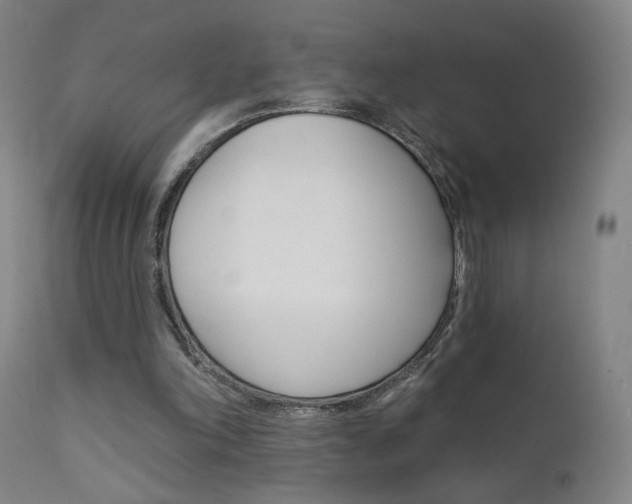 X0000111610198200907171048