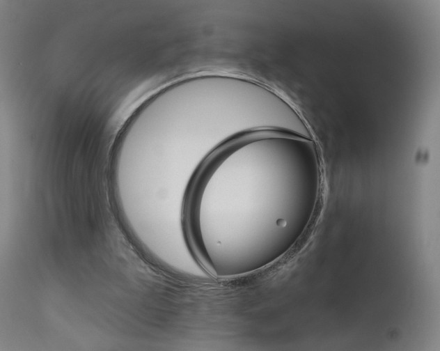 X0000111610199200907171048