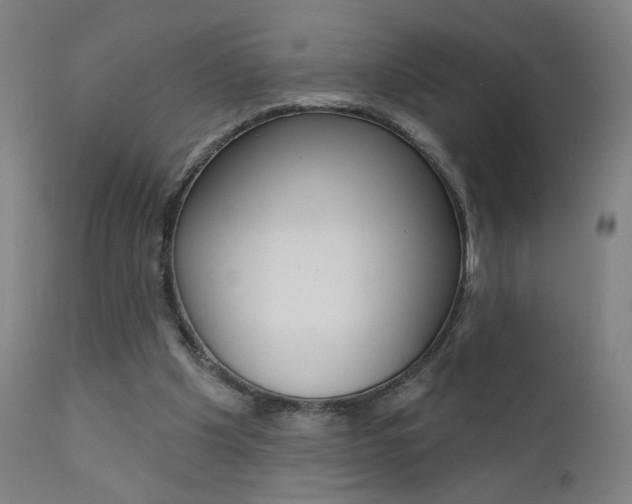 X0000111610201200907171048
