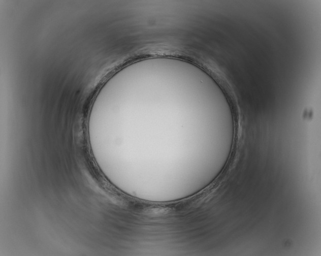 X0000111610202200907171048