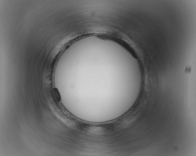 X0000111610203200907171048