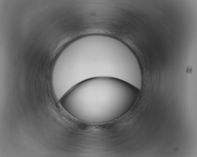 X0000111610207200907171048