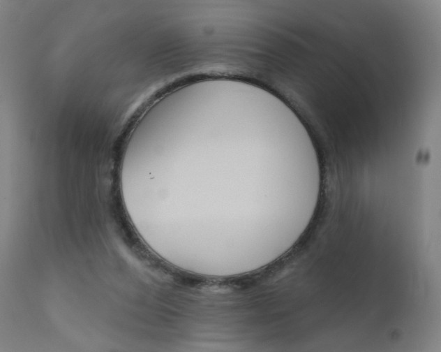 X0000111610208200907171048