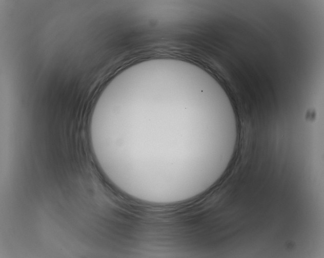 X0000111610217200907171047