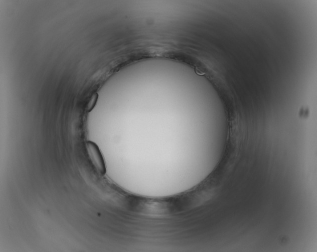 X0000111610221200907171047
