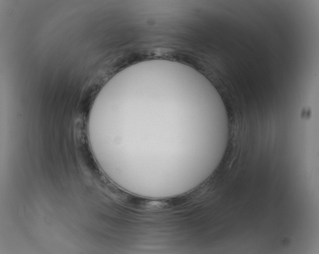 X0000111610222200907171047