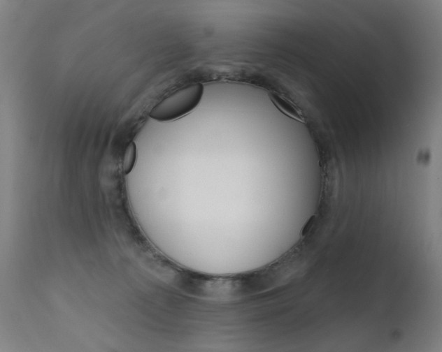 X0000111610225200907171047