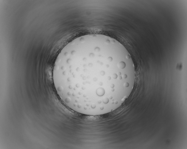 X0000111610238200907171047