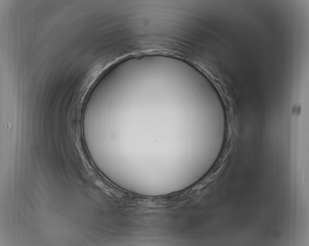 X0000111610241200907171046