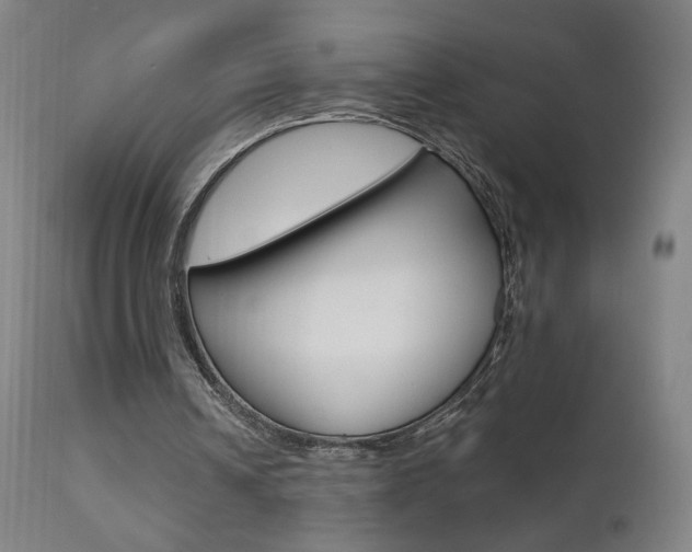 X0000111610242200907171046