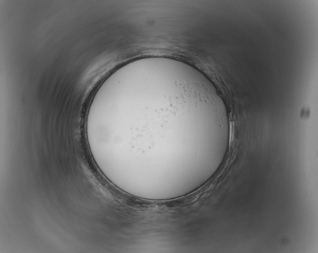 X0000111610243200907171046