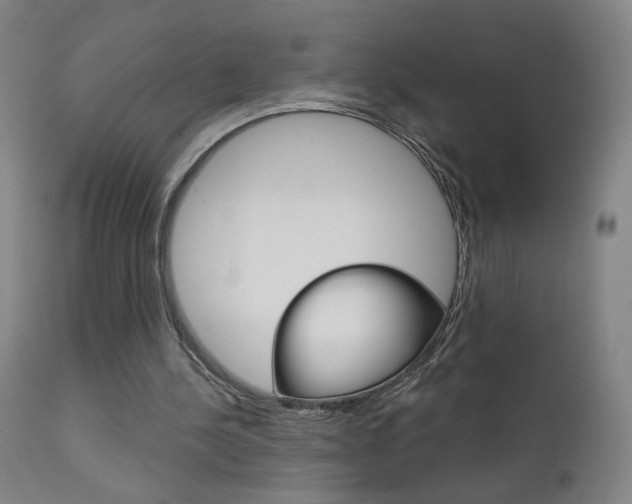 X0000111610244200907171046