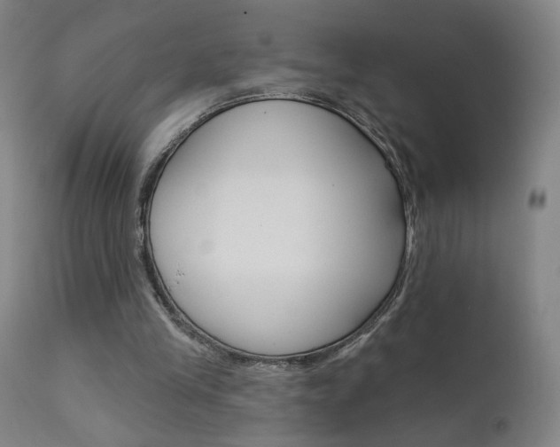 X0000111610245200907171046