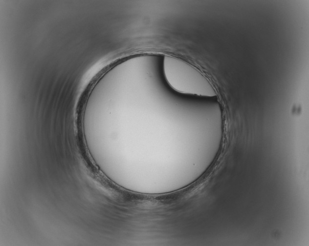 X0000111610246200907171046