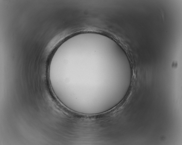 X0000111610247200907171046
