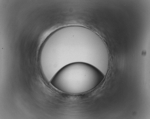 X0000111610248200907171046