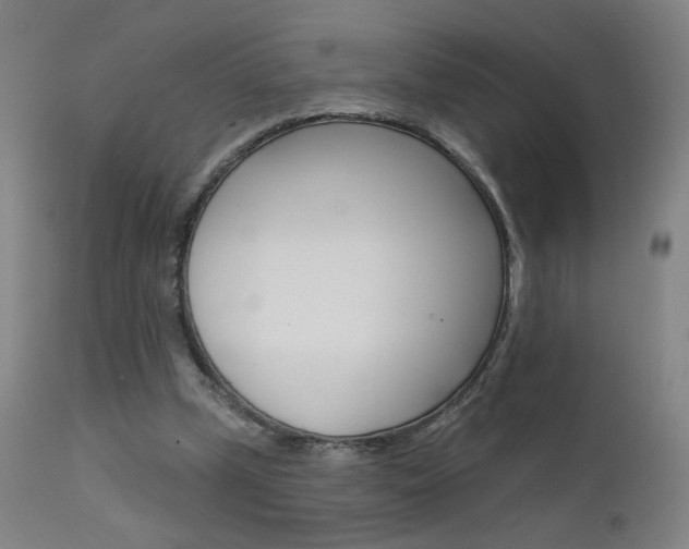 X0000111610249200907171046