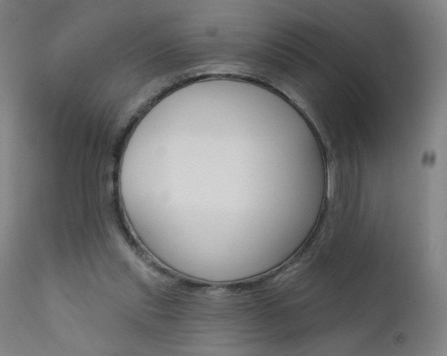 X0000111610253200907171046
