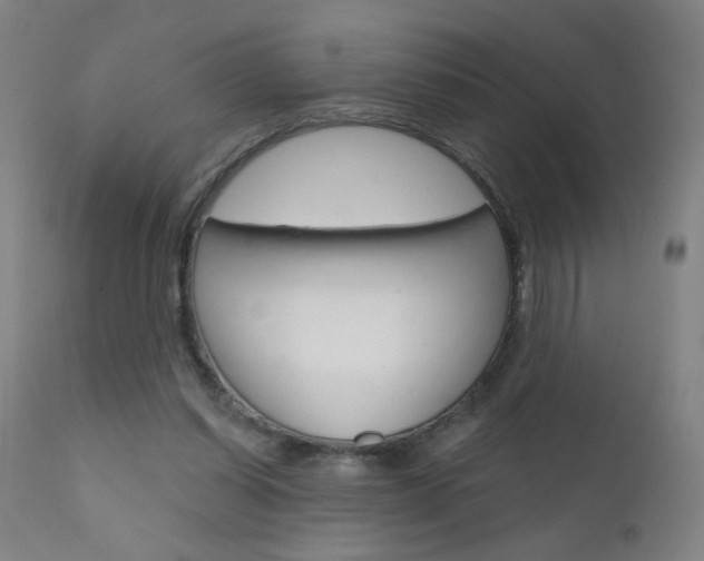 X0000111610254200907171046