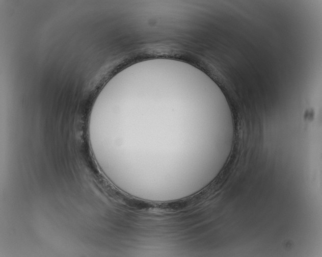 X0000111610255200907171047