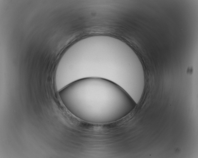 X0000111610264200907171047